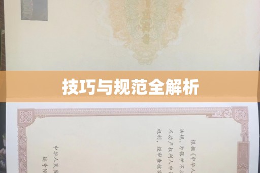 贵阳技巧与规范全解析
