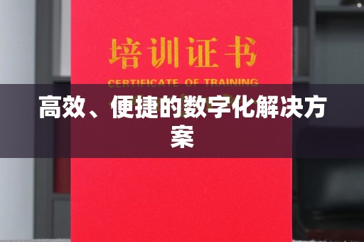 贵阳高效、便捷的数字化解决方案