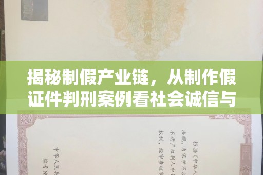 贵阳揭秘制假产业链，从制作假证件判刑案例看社会诚信与法律防线