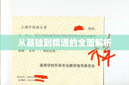 贵阳从基础到精通的全面解析