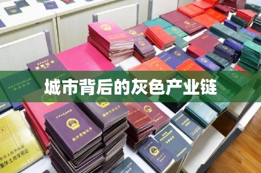 贵阳城市背后的灰色产业链