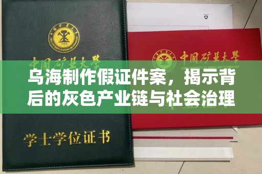 贵阳乌海制作假证件案，揭示背后的灰色产业链与社会治理挑战