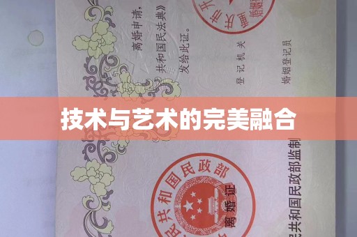 贵阳技术与艺术的完美融合