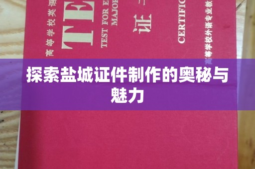 贵阳探索盐城证件制作的奥秘与魅力