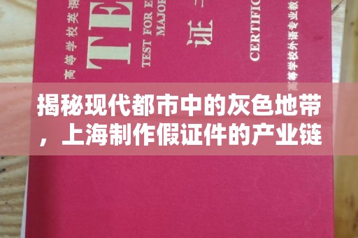 贵阳揭秘现代都市中的灰色地带，上海制作假证件的产业链